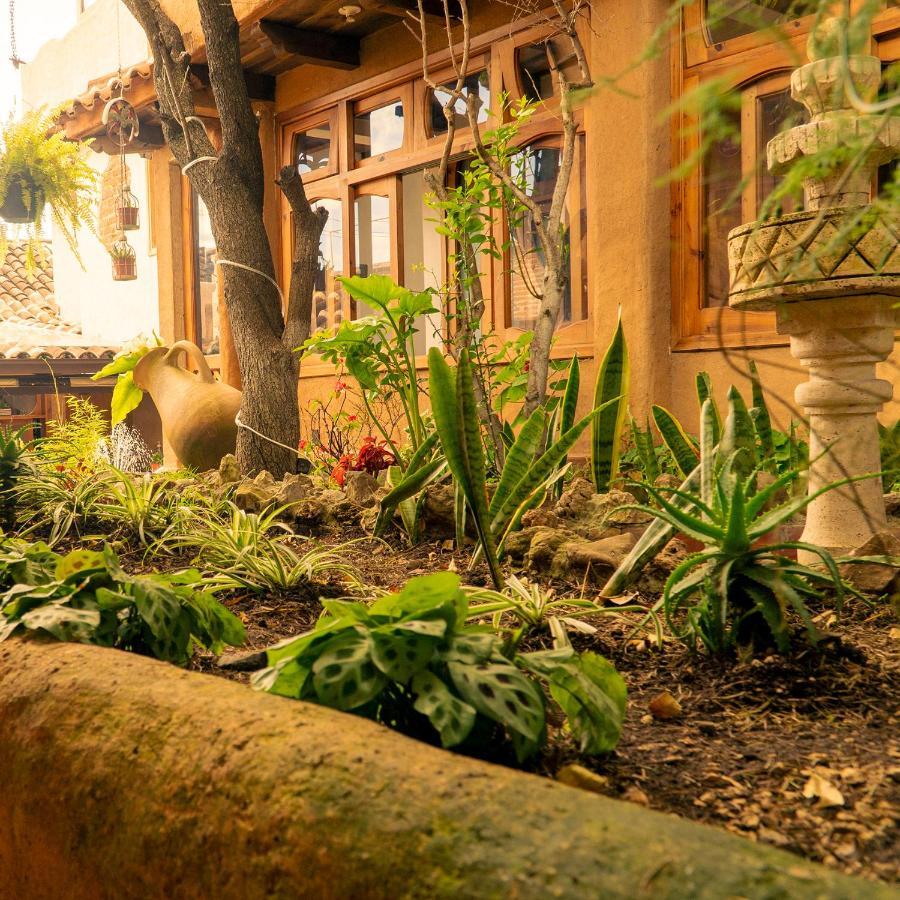 Hospedaje Boutique Paz Creativa San Cristóbal de Las Casas Eksteriør bilde
